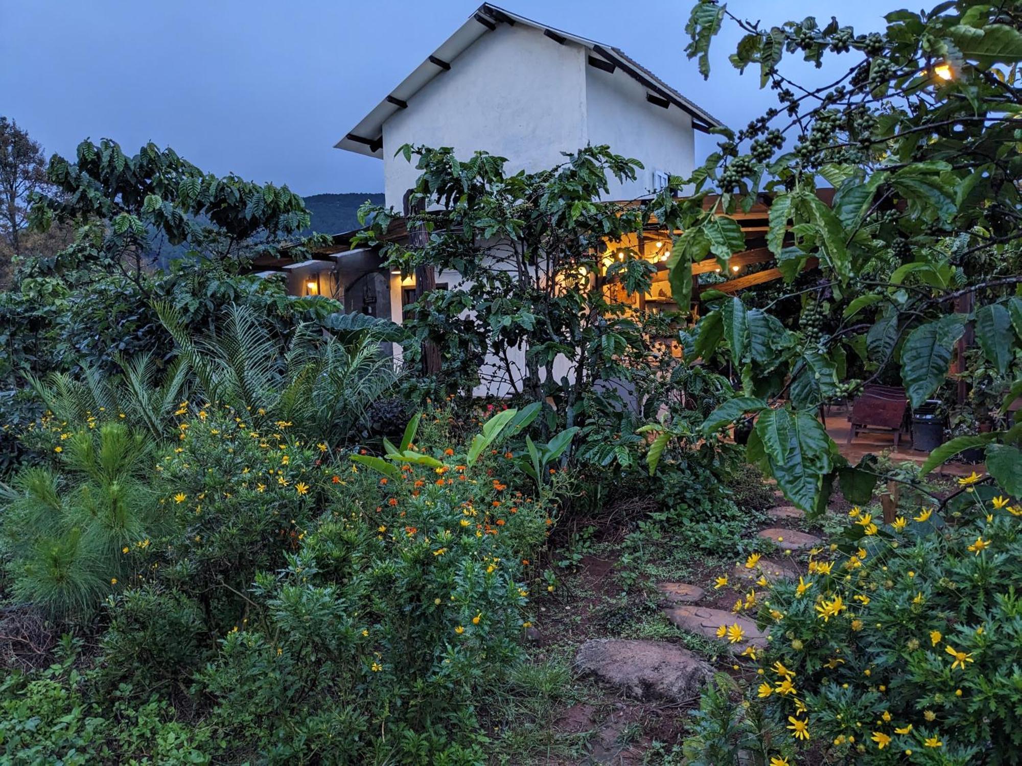 Ivy Coffee Farm - Garden House Lejlighed Duc Trong Eksteriør billede