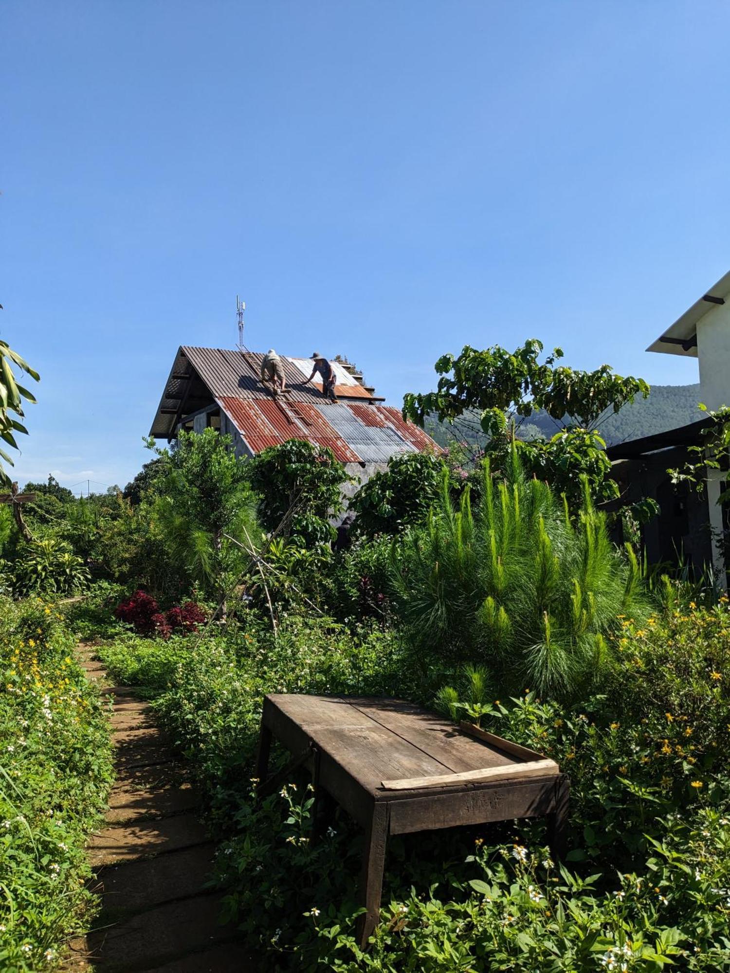 Ivy Coffee Farm - Garden House Lejlighed Duc Trong Eksteriør billede