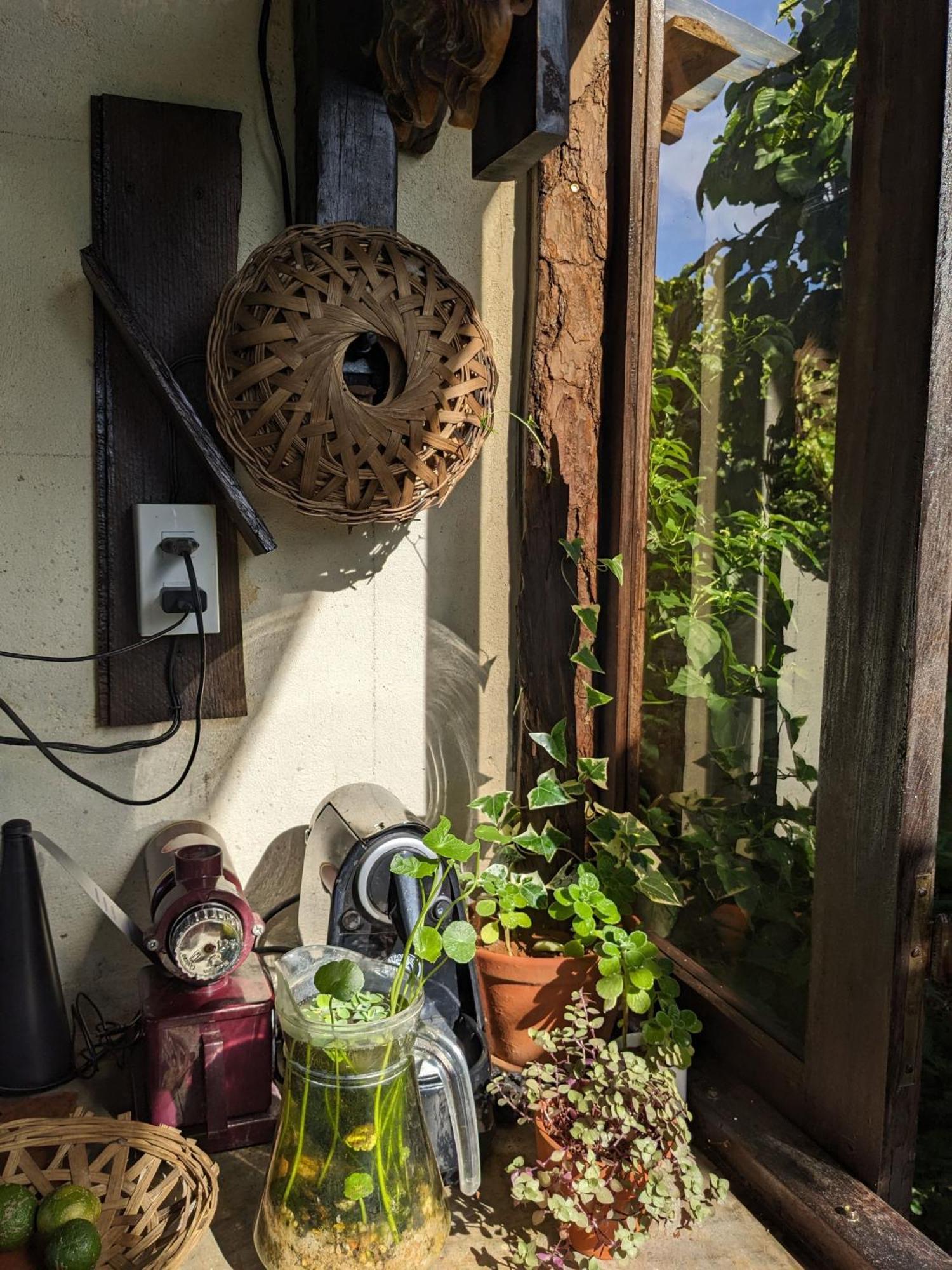 Ivy Coffee Farm - Garden House Lejlighed Duc Trong Eksteriør billede