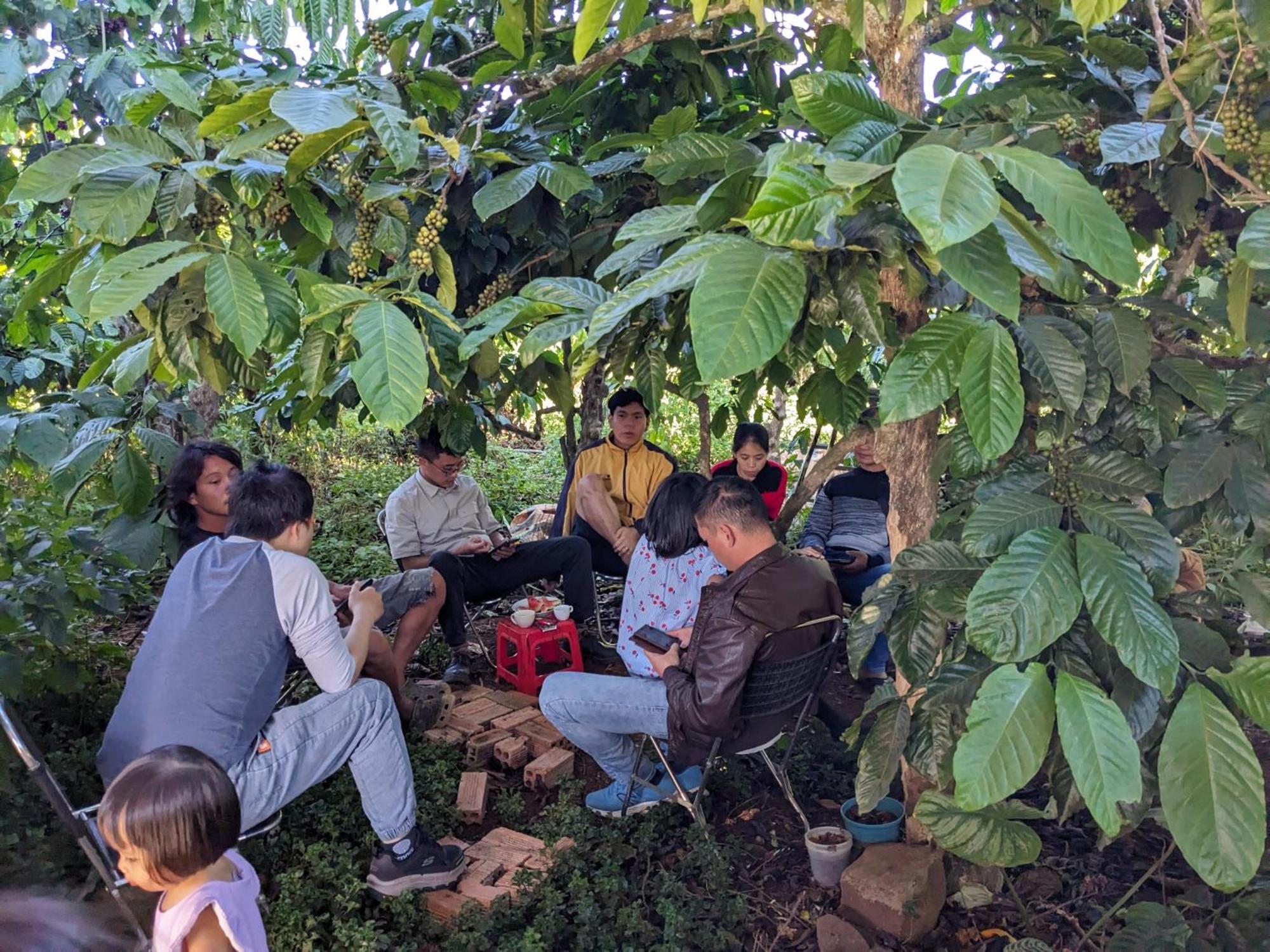 Ivy Coffee Farm - Garden House Lejlighed Duc Trong Eksteriør billede