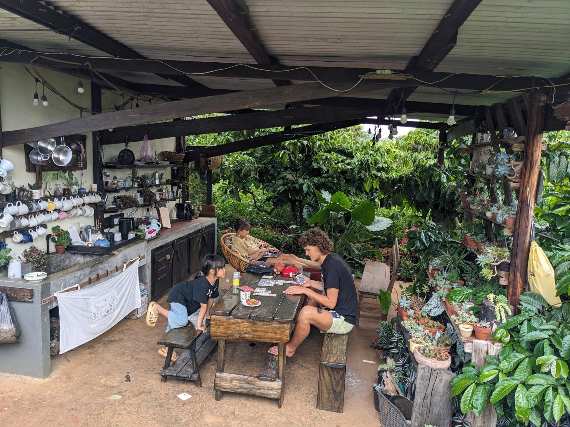 Ivy Coffee Farm - Garden House Lejlighed Duc Trong Eksteriør billede