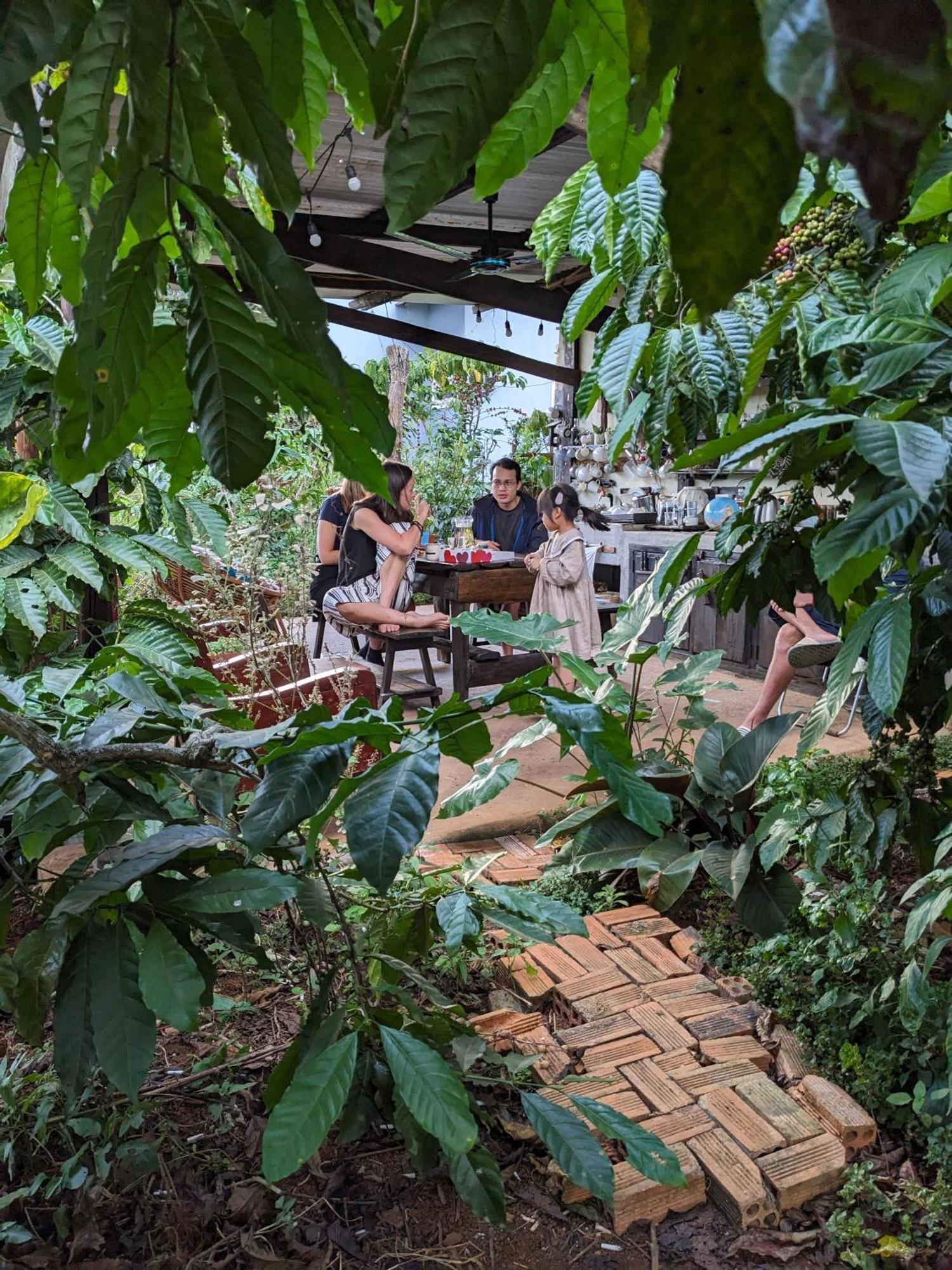Ivy Coffee Farm - Garden House Lejlighed Duc Trong Eksteriør billede