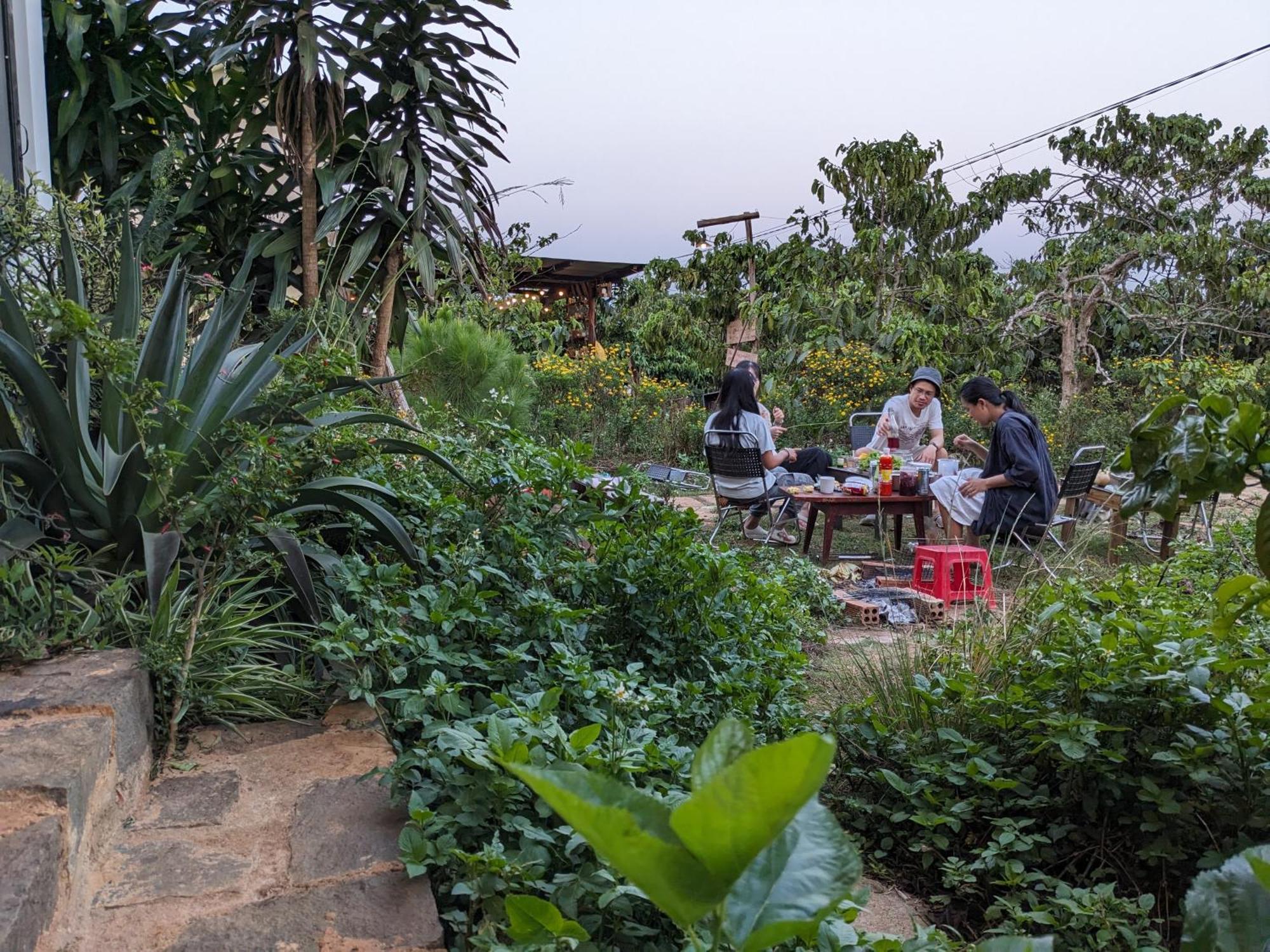 Ivy Coffee Farm - Garden House Lejlighed Duc Trong Eksteriør billede