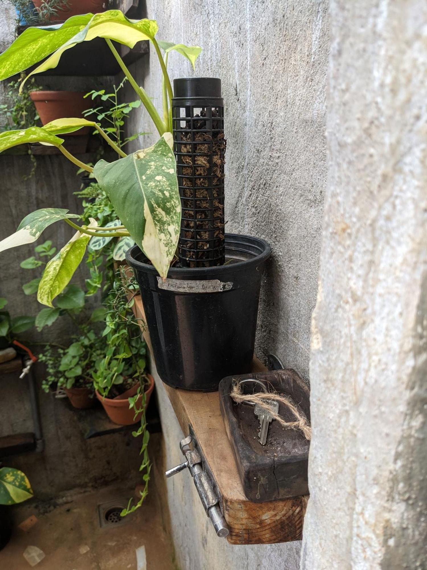 Ivy Coffee Farm - Garden House Lejlighed Duc Trong Eksteriør billede