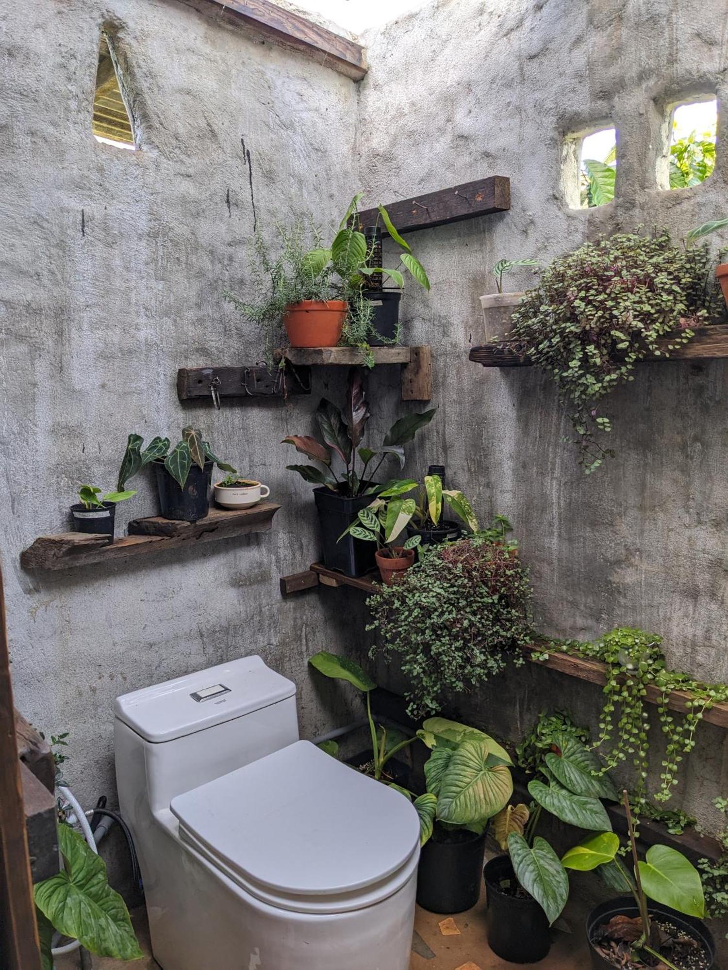 Ivy Coffee Farm - Garden House Lejlighed Duc Trong Eksteriør billede