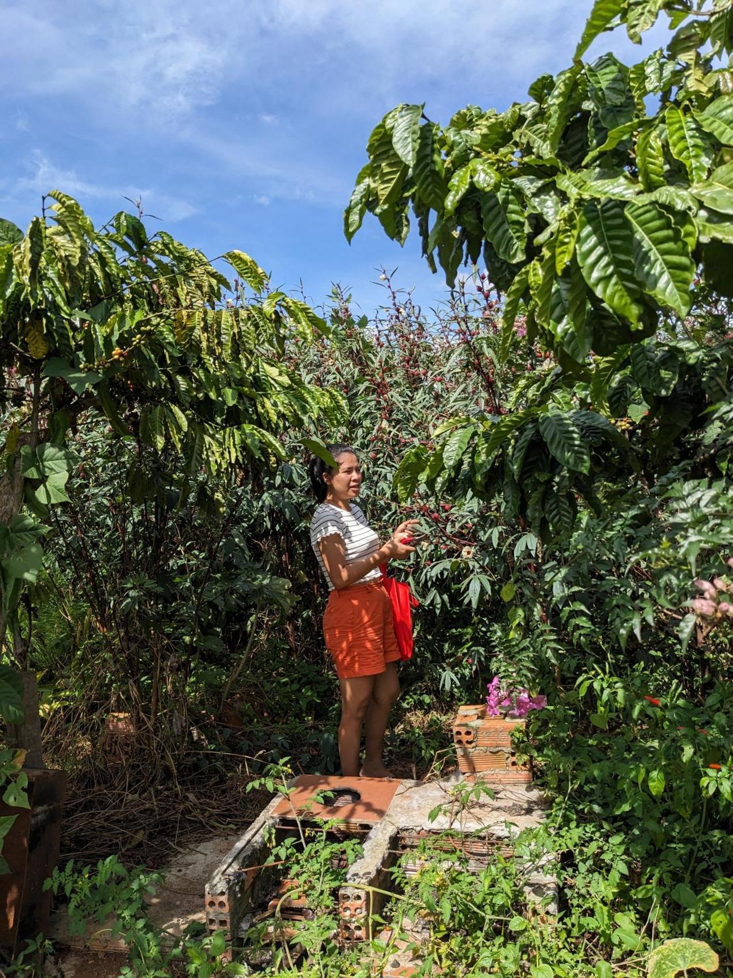 Ivy Coffee Farm - Garden House Lejlighed Duc Trong Eksteriør billede