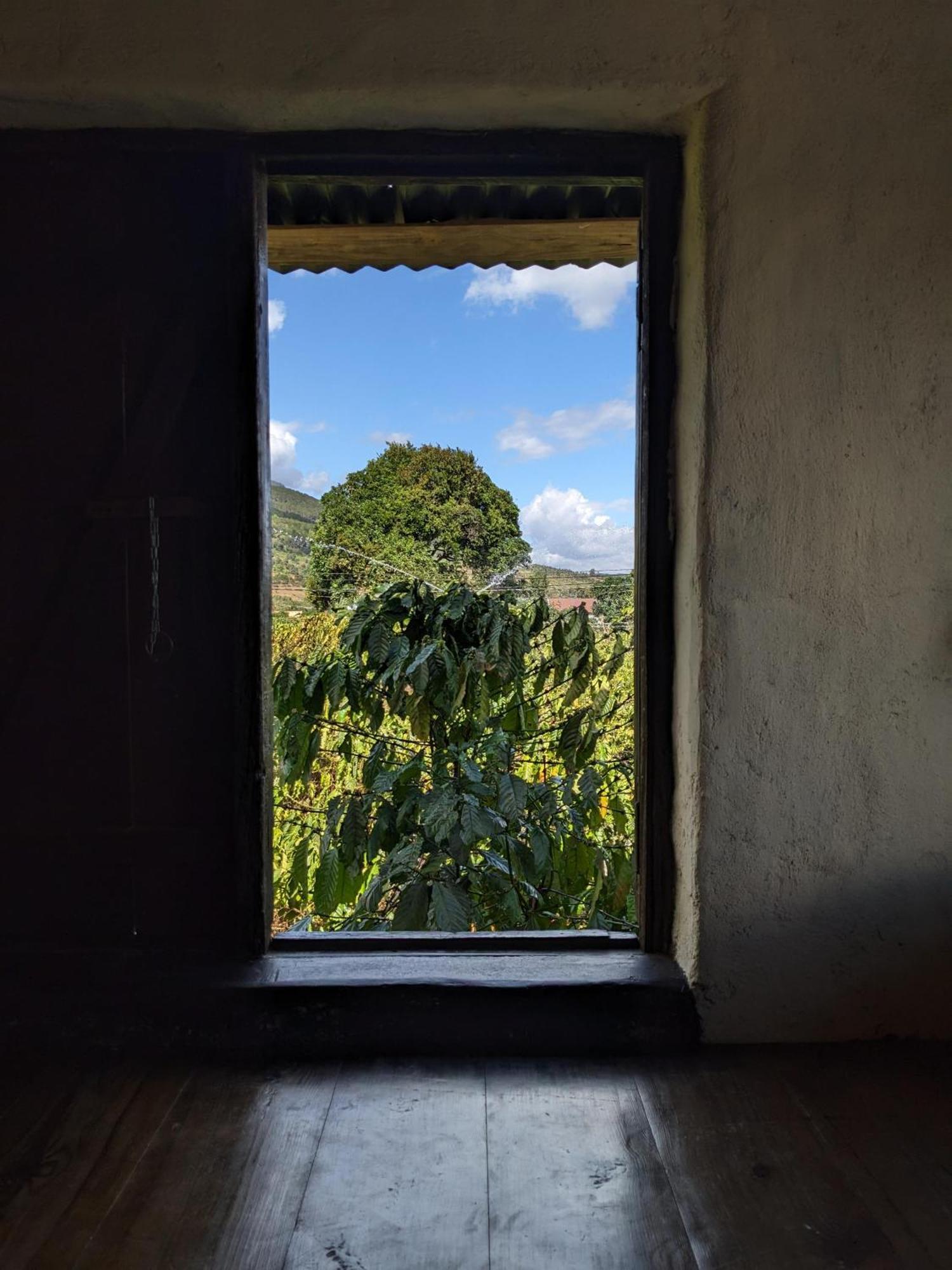 Ivy Coffee Farm - Garden House Lejlighed Duc Trong Eksteriør billede