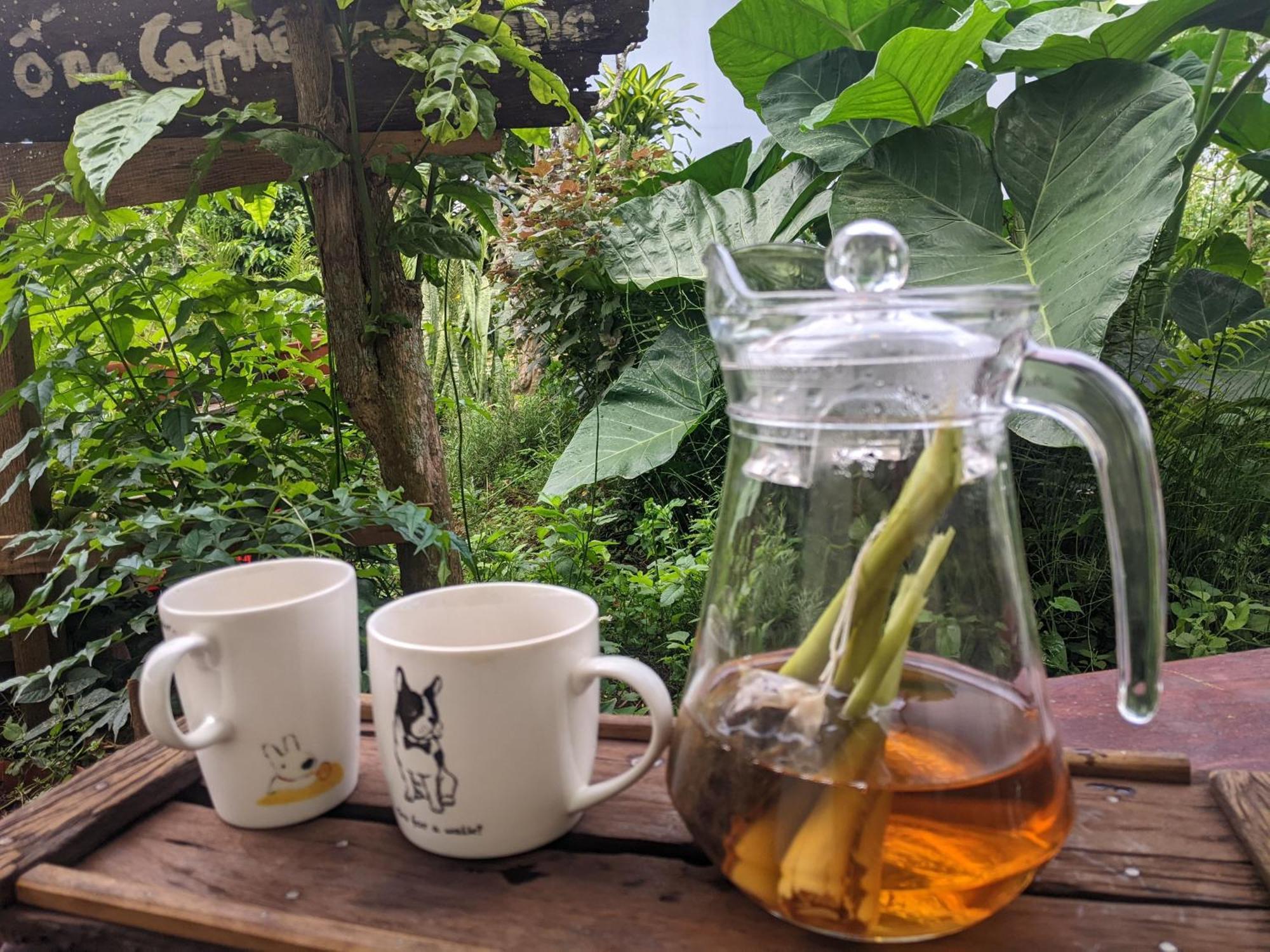 Ivy Coffee Farm - Garden House Lejlighed Duc Trong Eksteriør billede